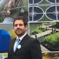 Bruno Pinto Email