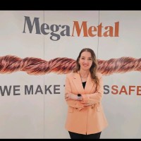Mega Metal Employee Elmas Dilbaz's profile photo
