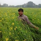 Divya Shipping Employee Manish Singh's profile photo
