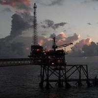 Michael Flora Email & Phone Number