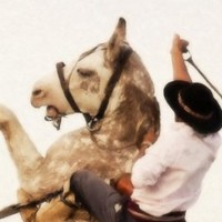 HFAI Singapore Pte Ltd Employee Howard Fields's profile photo