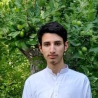 FluentCMS Employee Hadi Ahmadi's profile photo