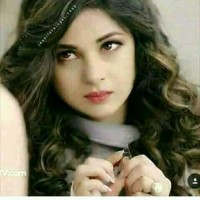 Sayed Sayedi Email