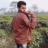 PV Tech, Inc Employee Shawan Sarkar's profile photo