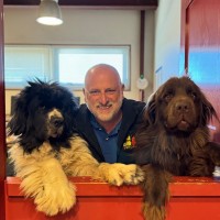 Pet Camp Employee Mark Klaiman's profile photo