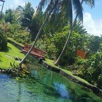 Steele and Associates, LLC Employee Mike Silva's profile photo