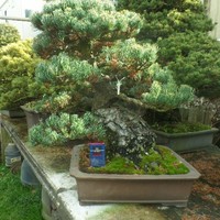 Arctiko A/S Employee Hans Nielsen's profile photo