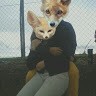 Jose Verde Email