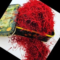 Saffron Tech Employee Danial Darabi's profile photo