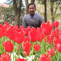 Regunathan Chidambara Email