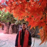 Vignesh Thiyagarajan Email