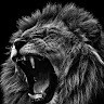TMI Universal Employee Universal Media's profile photo