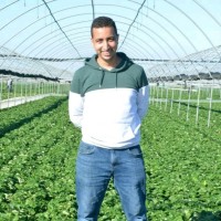 _Royal_ Employee Ayoub Elghazoui's profile photo