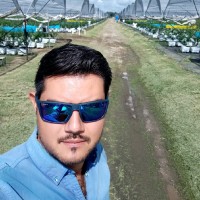 Giddings Berries Perú SAC Employee Fabian Llamas's profile photo