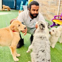 Dogwalk Employee Vishmitha Bimsara's profile photo