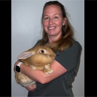 Loop Abroad Employee Brooke Dolega's profile photo