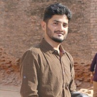 Vega Pharmaceuticals Employee Syed Abbas's profile photo