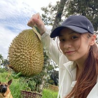 Cheryle Qin's profile photo