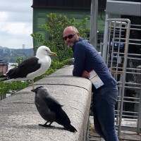 OCMW Gent Employee Koen Geirnaert's profile photo