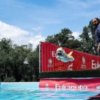 Charles River Development Employee Rick Bernier's profile photo