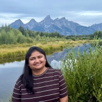 Manjusha Nadipineni Email
