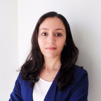 Universidade Federal de Uberlândia - UFU Employee Alice Lima's profile photo