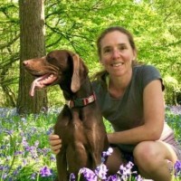 Sarah Holdaway Email