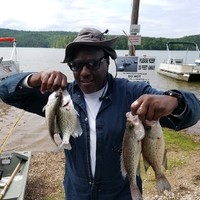 Willows Employee Raymond Stevenson's profile photo