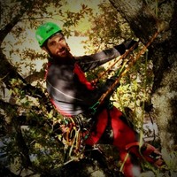 Arboribus Employee Lorenzo Longarini's profile photo