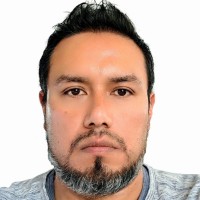 Construidea S.A. de C.V. Employee Fernando Izmaya's profile photo