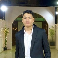 Ameer Alaa Email