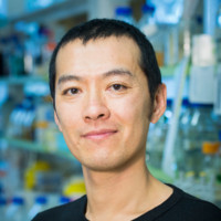 Simon Poon Email