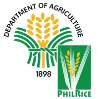 PhilRice Employee Philippine Rice Research Institute's profile photo