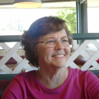 THE VOLLMAN COMPANY Employee Ginger Vollman's profile photo