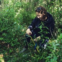 INSTITUTE FOR APPLIED ECOLOGY Employee Morgan Franke's profile photo