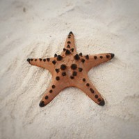 Digital Artifact Employee Patrick Khoo's profile photo