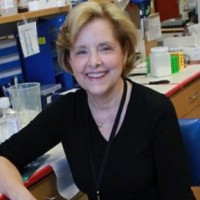 Icahn School of Medicine at Mount Sinai Employee CHARLOTTE CUNNINGHAM-RUNDLES's profile photo