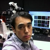 Sei Yoshida Email & Phone Number