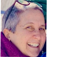 Global Nomads Group Employee Sandra Stein's profile photo
