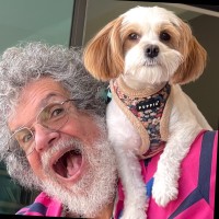 David Winograd Email & Phone Number