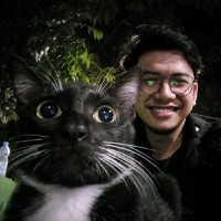 Thoriq Adillah's profile photo