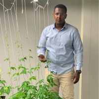 Protium Technologies Employee Mohamed Abdulla's profile photo