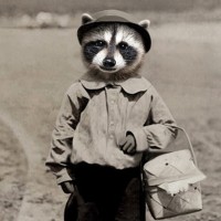 WireScreen Employee Jack Lye's profile photo