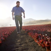 Coastal Tractor Employee Brent McKinsey's profile photo