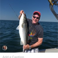 Scott MacKenzie Email & Phone Number