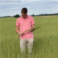 VAN ROBAEYS Frères Employee Etienne Callens's profile photo