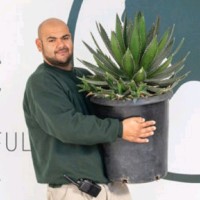 Mulhall's Employee Guillermo Monarrez's profile photo