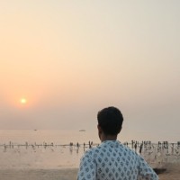 Aryan Pandey's profile photo