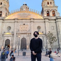 Diego Barraza Soto Email