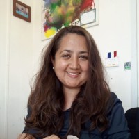 FLEX Servicios y Logística Ltda. Employee Carmen Guerra's profile photo